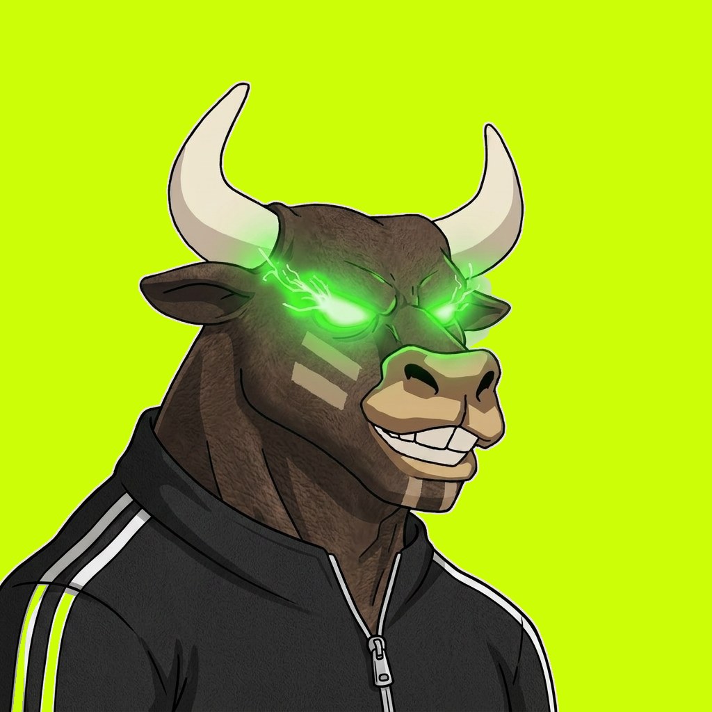 HoodBulls #1